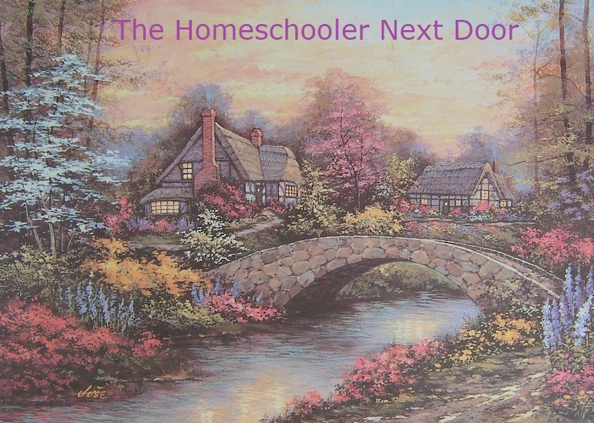 The Homeschooler Next Door